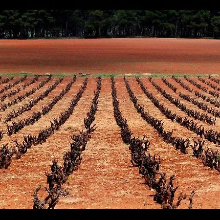 Gasthof Finca San Agustin Ontinyent