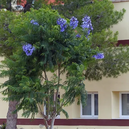 Finca San Agustin Gasthof 3*